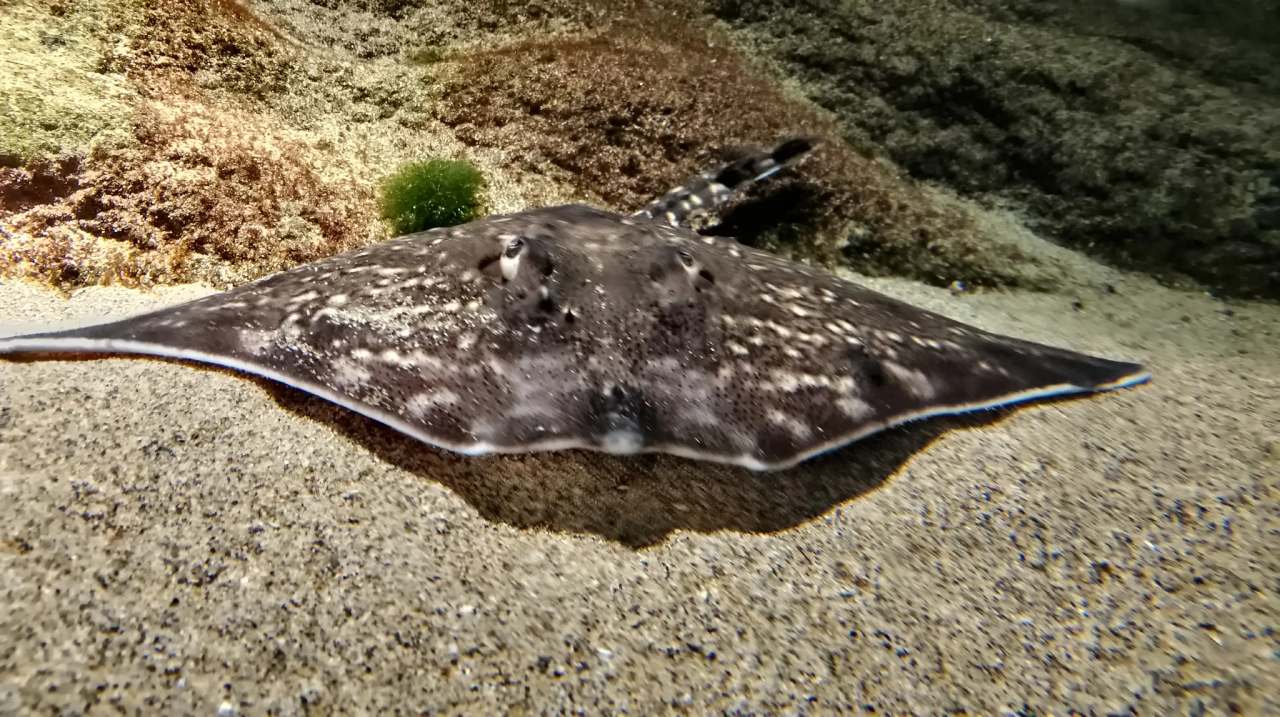 Biodiversarium — photo 3