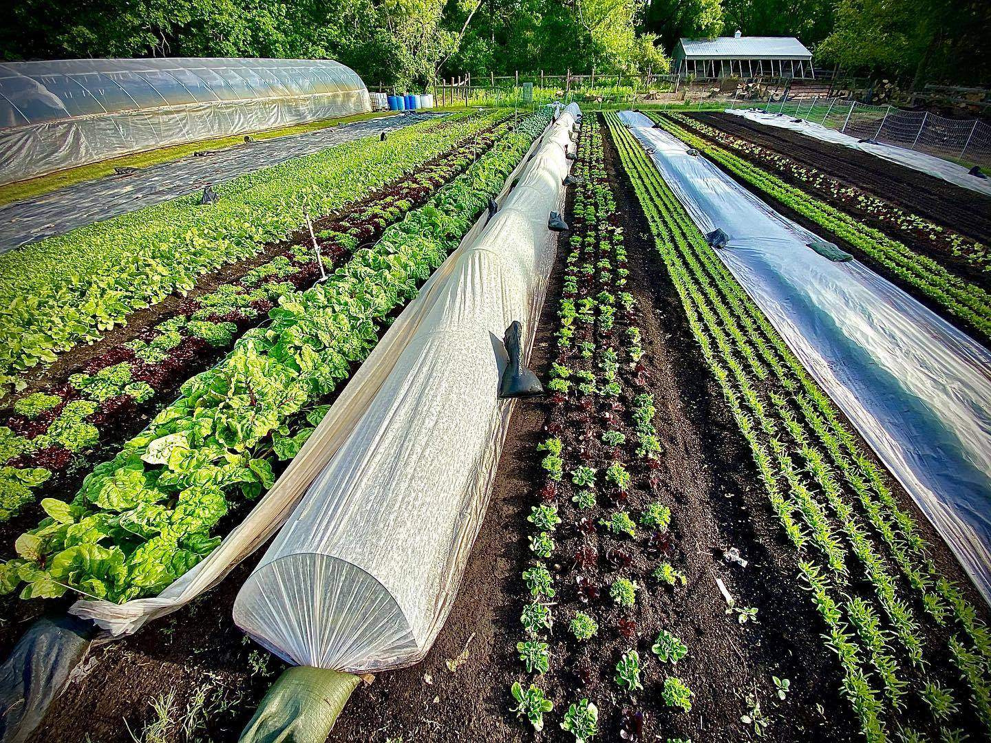 Farm Happy, LLC — photo 2