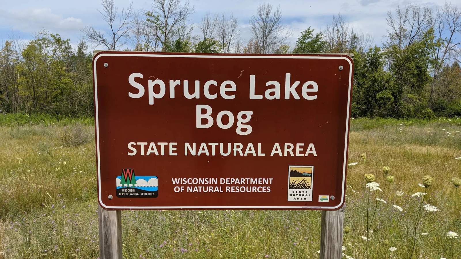 Spruce Lake Bog — photo 1