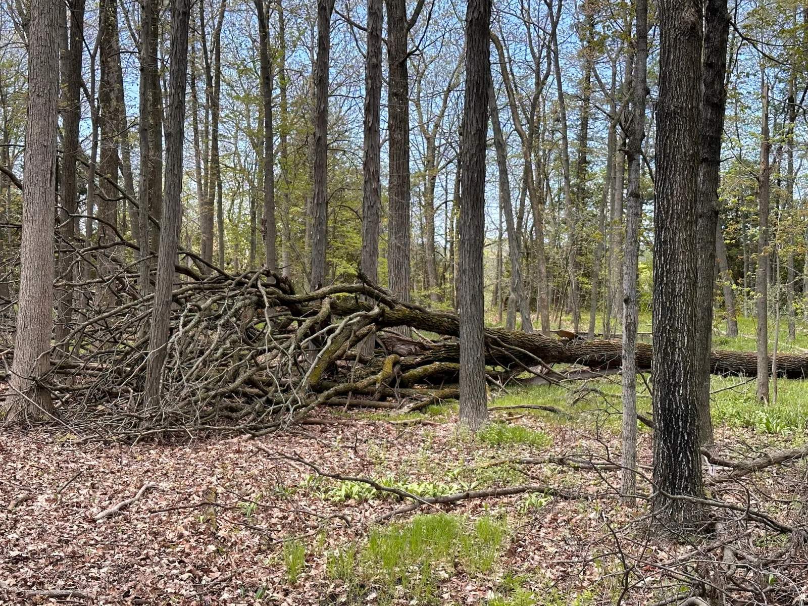 River Wildlife Trailhead Parking- membership reqired — photo 1