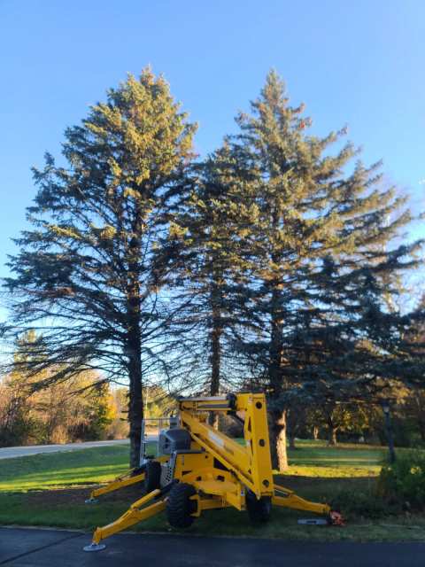 TimberScape LLC — photo 2