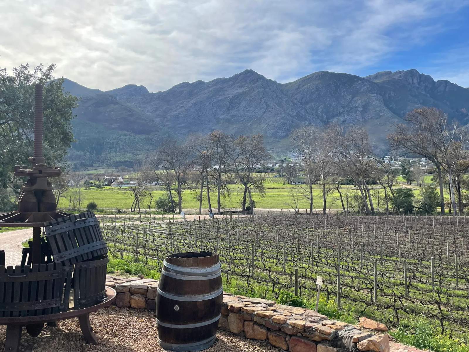 Wine Flies Wine Tours — photo 1