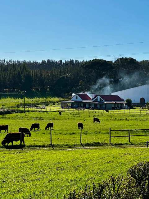 Wine Flies Wine Tours — photo 4