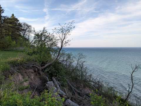 Virmond County Park — photo 2