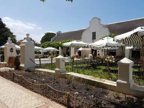 Vergenoegd Löw Wine Estate — photo 2
