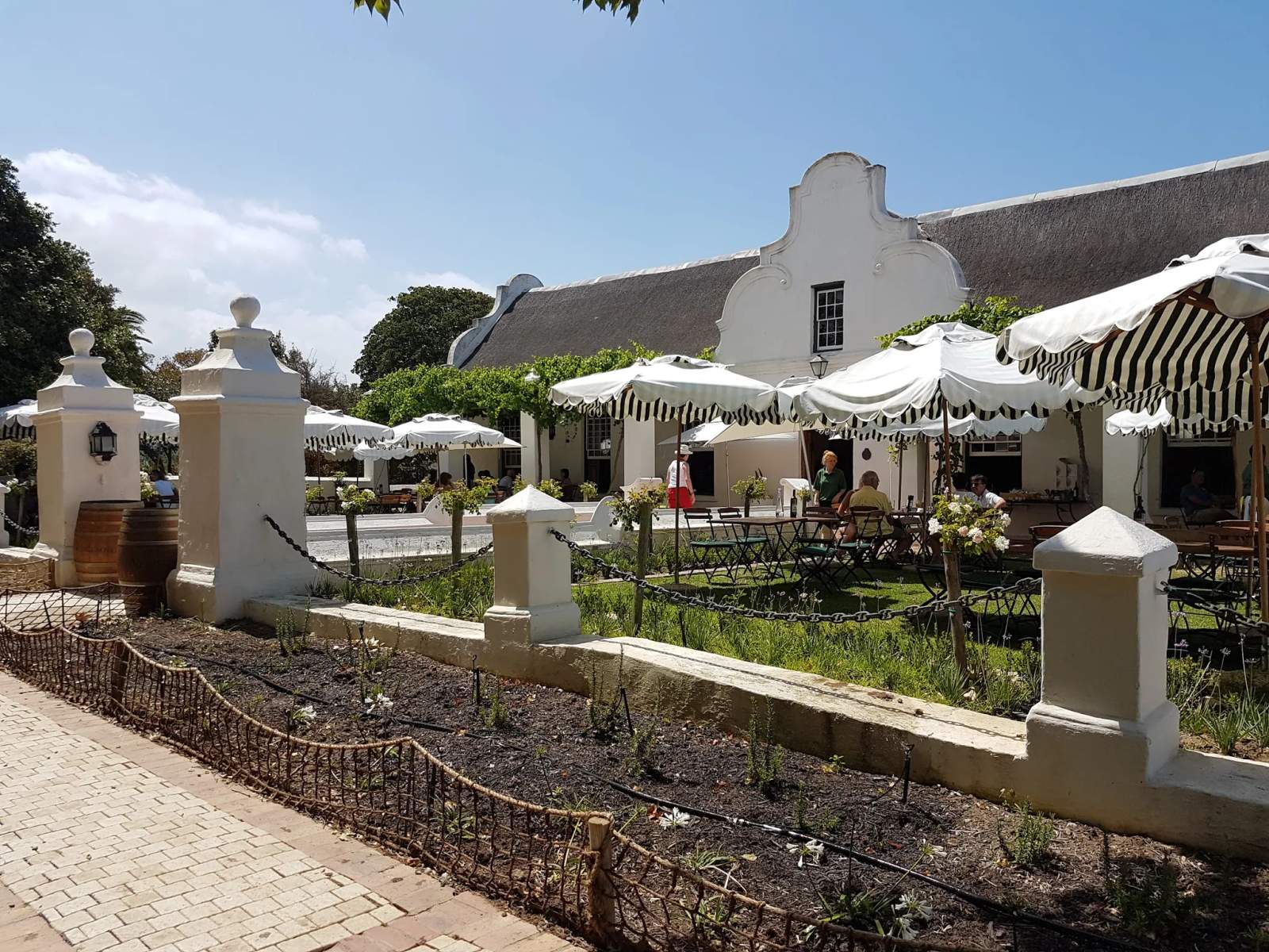 Vergenoegd Löw Wine Estate — photo 2