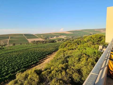 Durbanville Hills Winery — photo 2