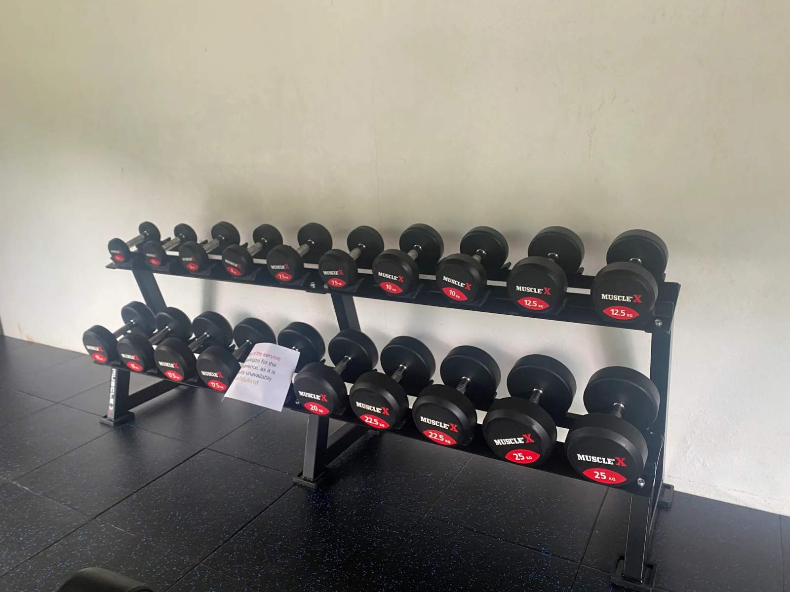 Gym / Fitness — photo 2
