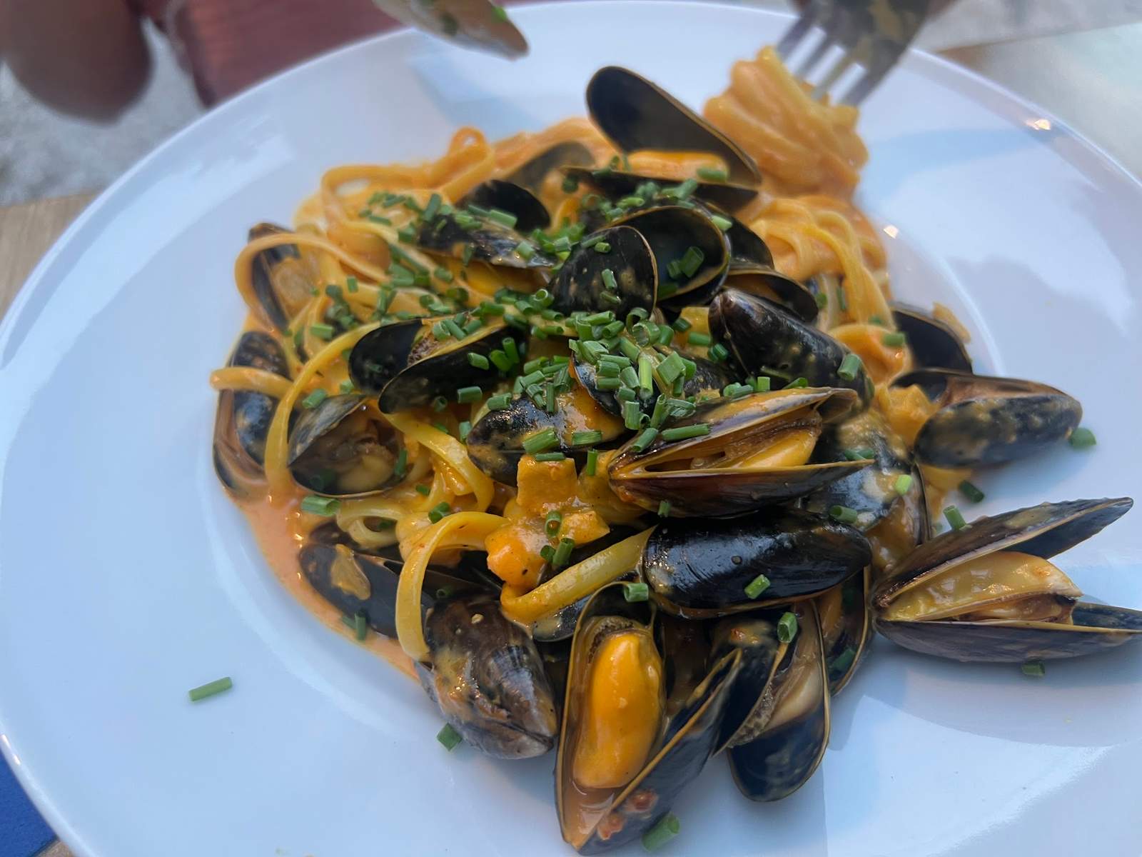 La Rouillade – Restaurant Argelès-sur-Mer — photo 3