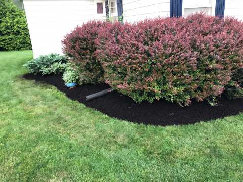 A2Z Landscaping & Construction — photo 3