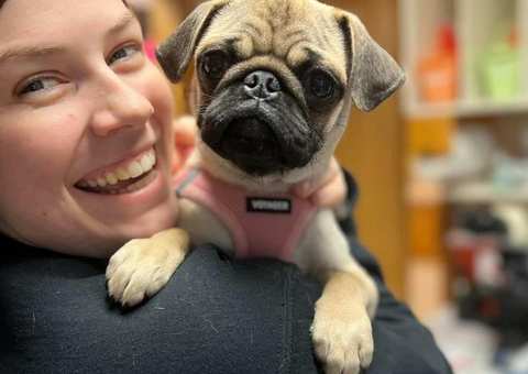 Germantown Animal Hospital — photo 4