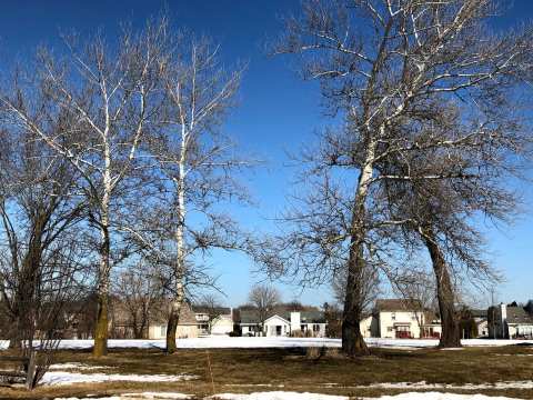 Faith Presbyterian Church — photo 3