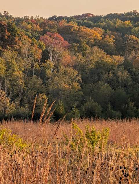 Nichols Creek State Wildlife Area — photo 3