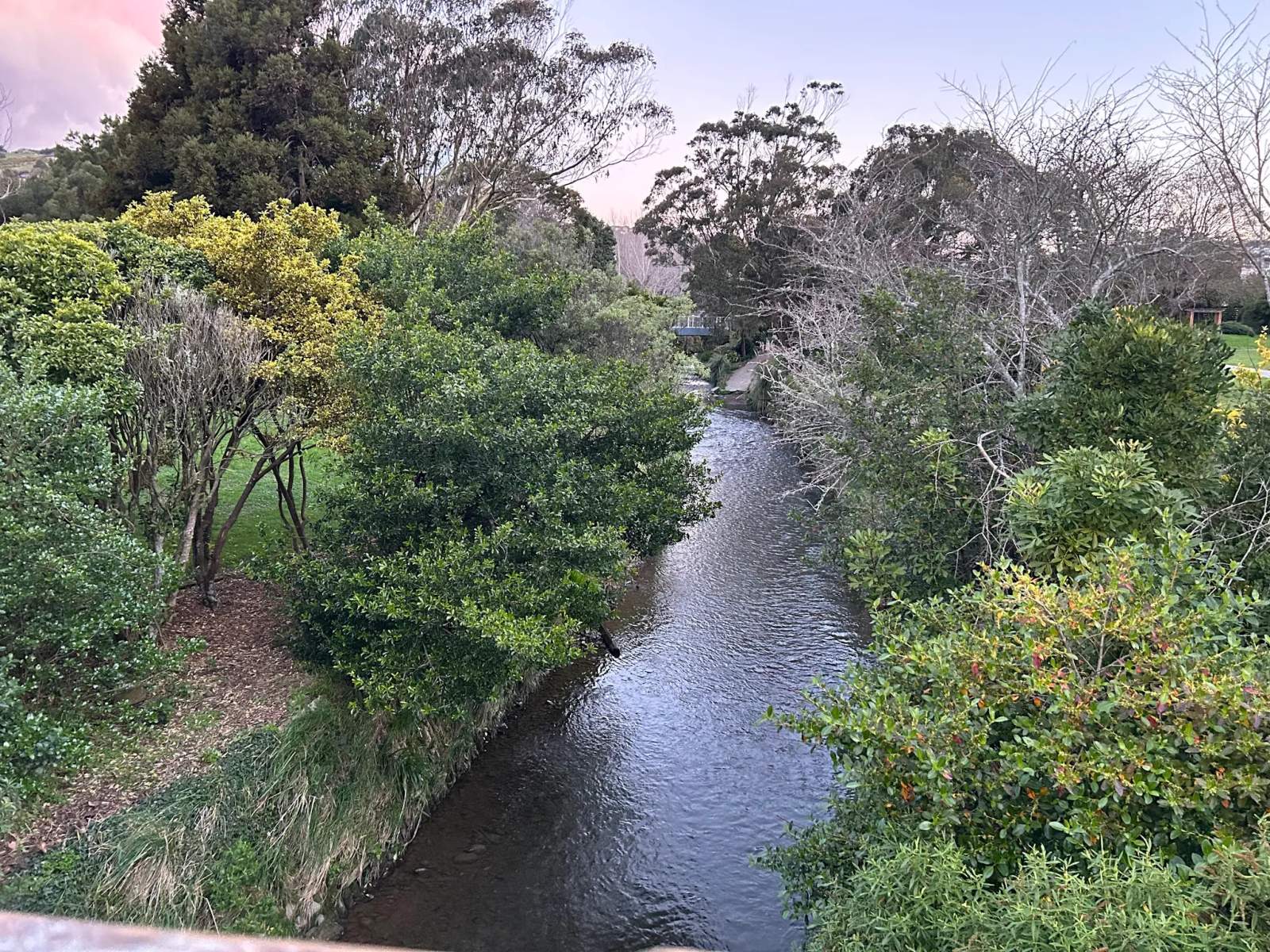 Grasslees Reserve — photo 3