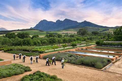 Babel at Babylonstoren — photo 4