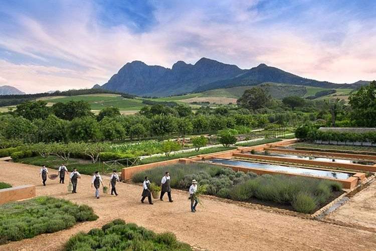 Babel at Babylonstoren — photo 4