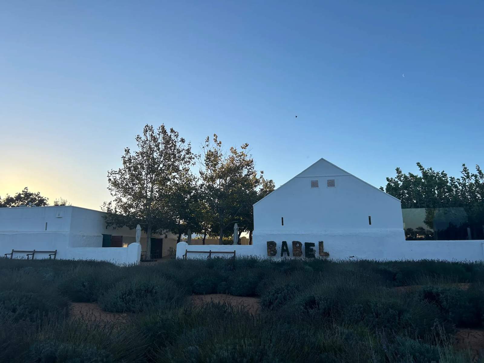 Babel at Babylonstoren — photo 3