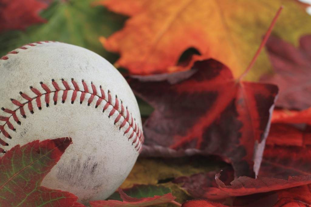 Bigler Sports — photo 3