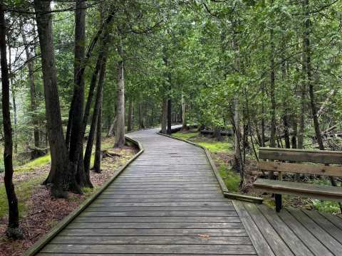 The Ridges Sanctuary — photo 3