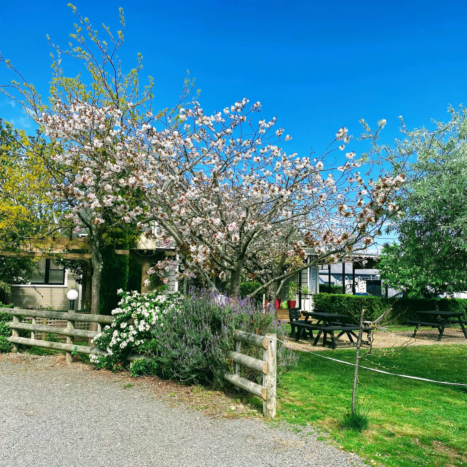 Pinot Villas — photo 1