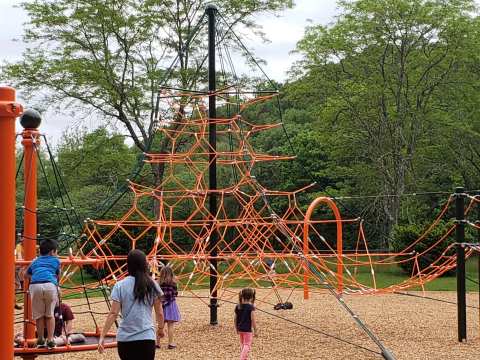 Hollow Park — photo 2