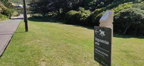 Silverstream Road Reserve Dog Area — photo 2