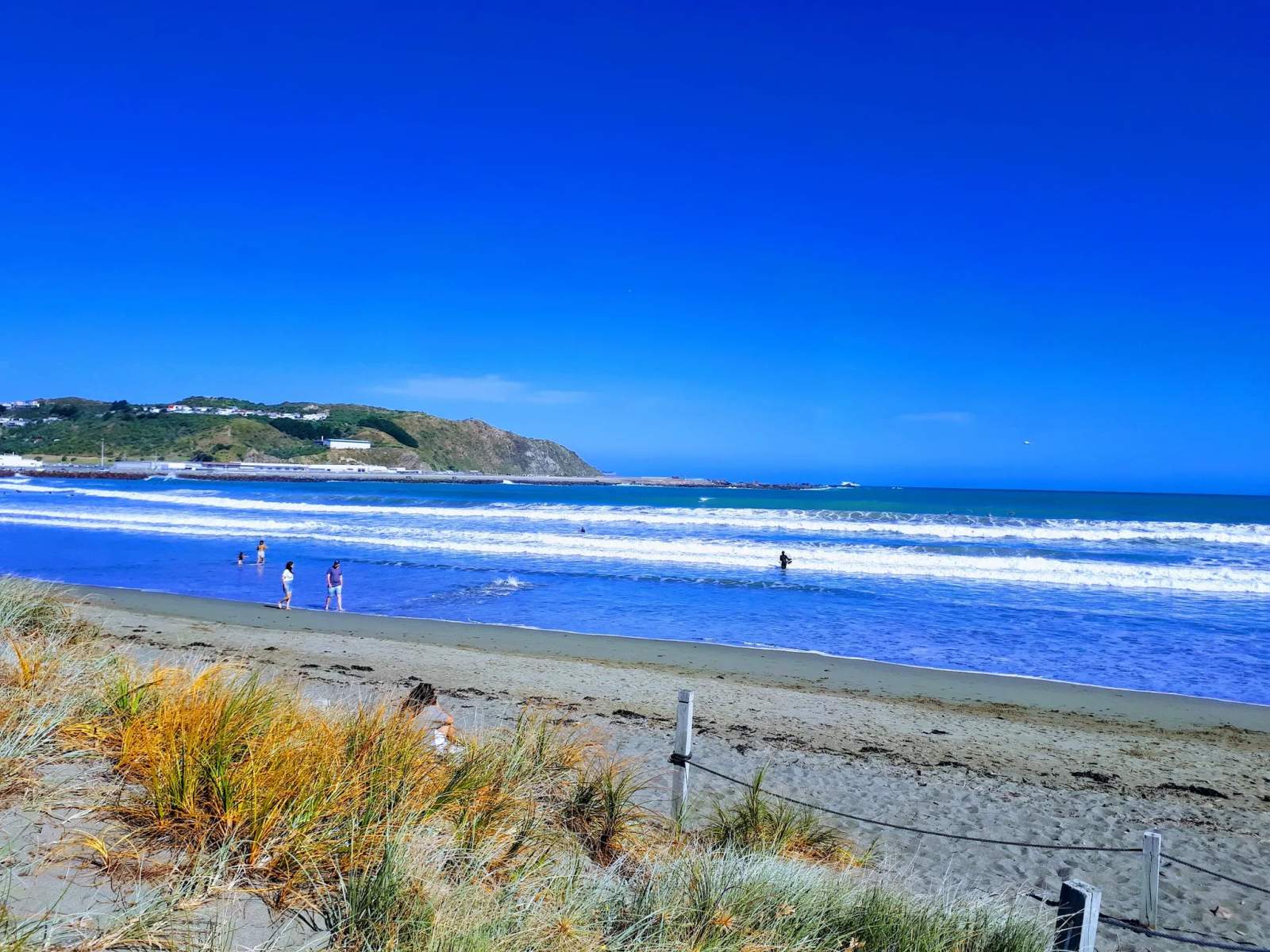 Lyall Bay Surf Beach — photo 1