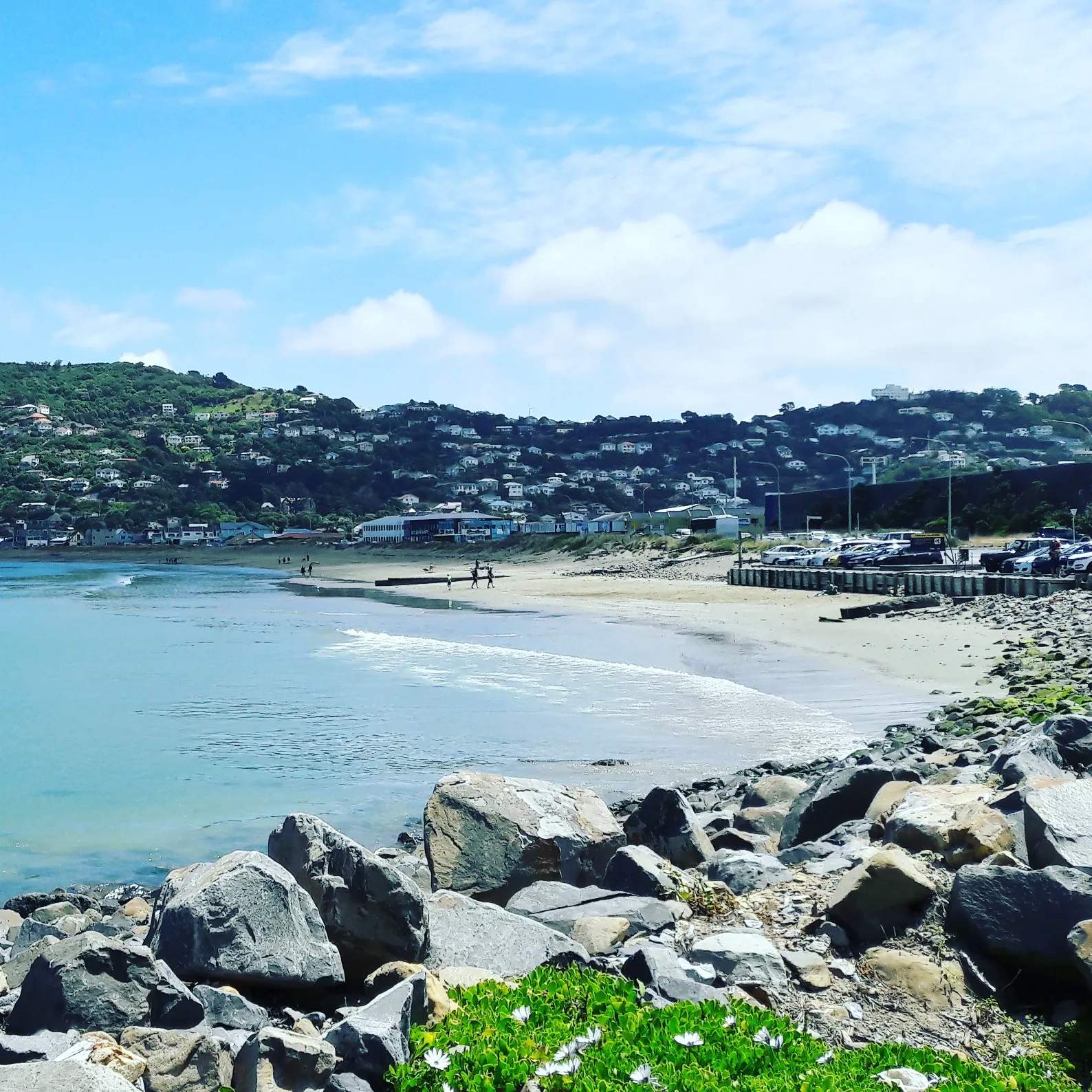 Lyall Bay Surf Beach — photo 2