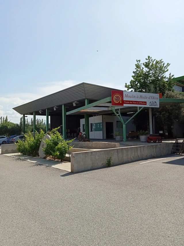 Cave Coop Vinification Les