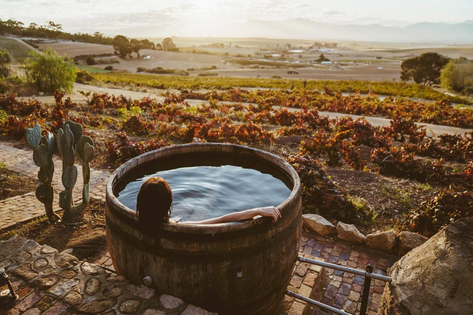 Visit SA Winelands — photo 2