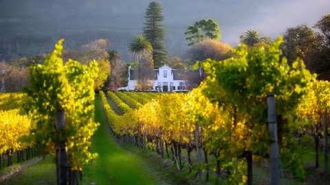 Visit SA Winelands — photo 4