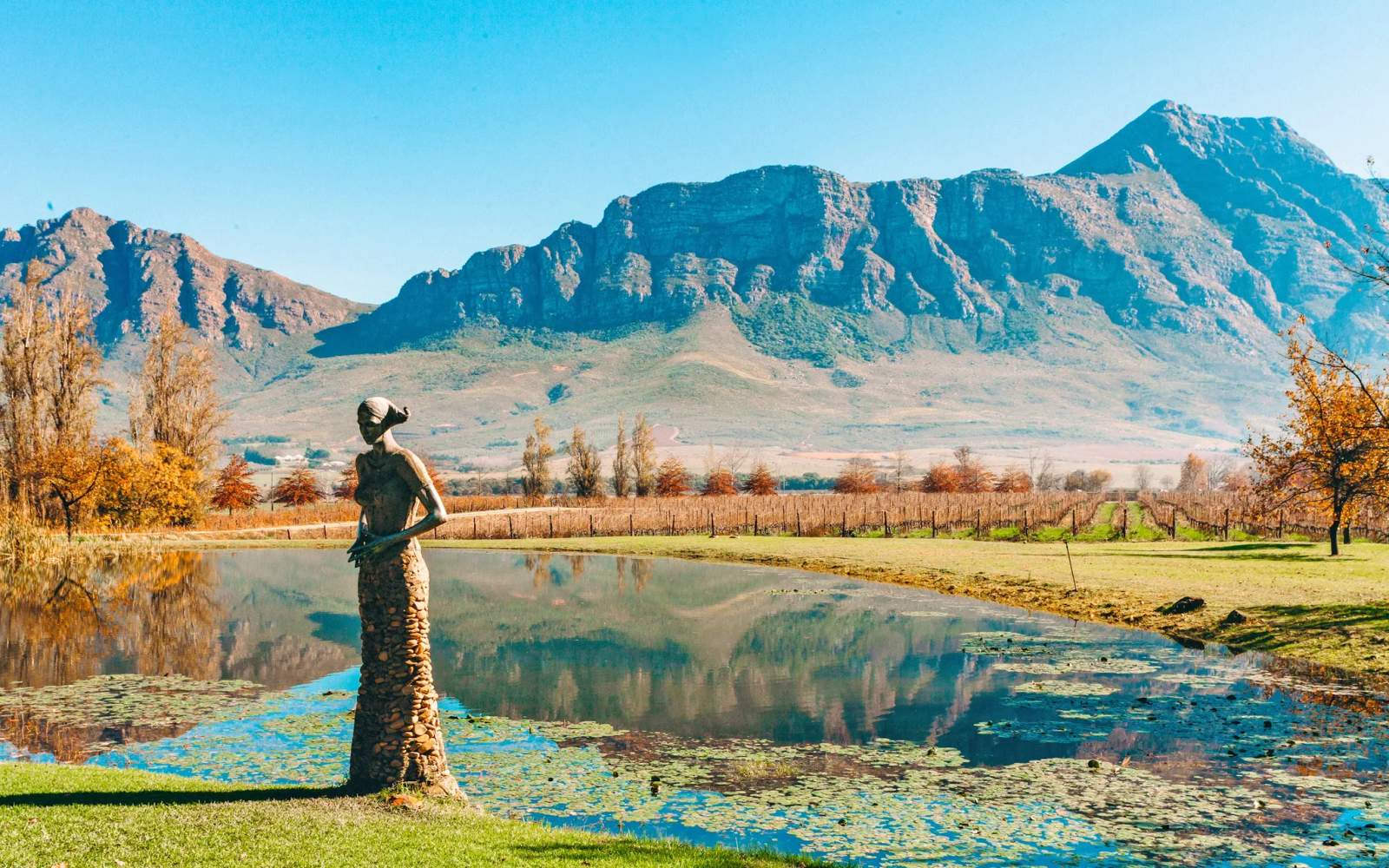 Visit SA Winelands — photo 5