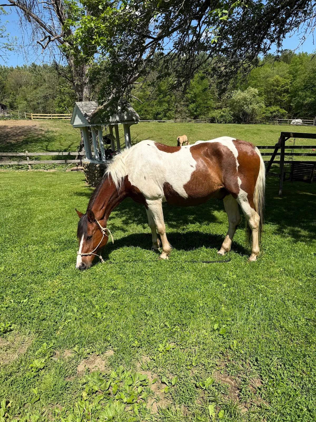 Barre Equestrian — photo 2