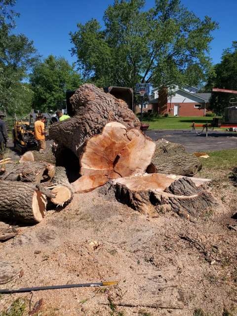 Catalpa Services LLC — photo 2