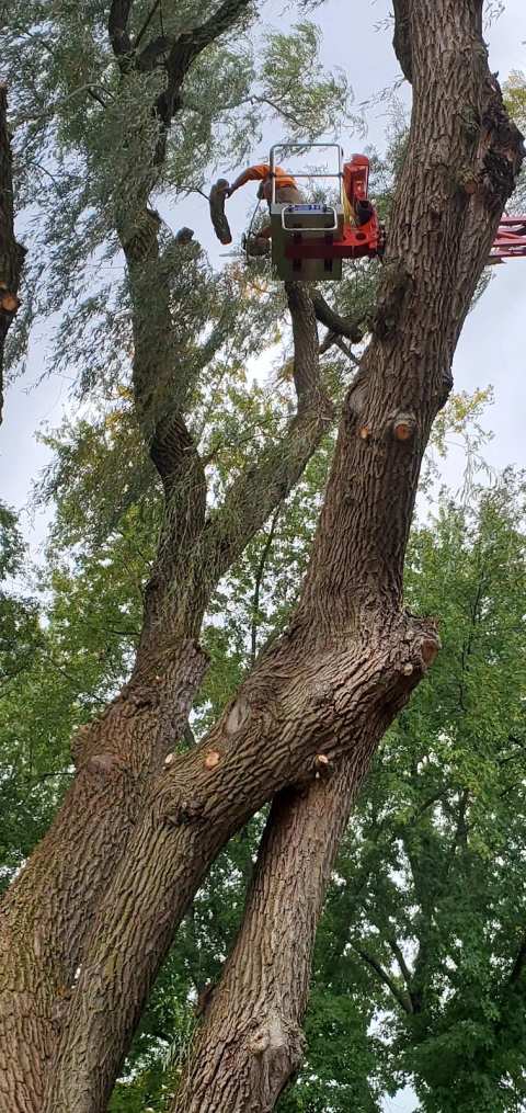 Catalpa Services LLC — photo 3