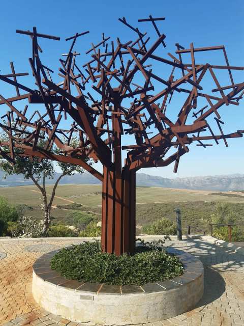 Waterkloof Wine Estate — photo 3