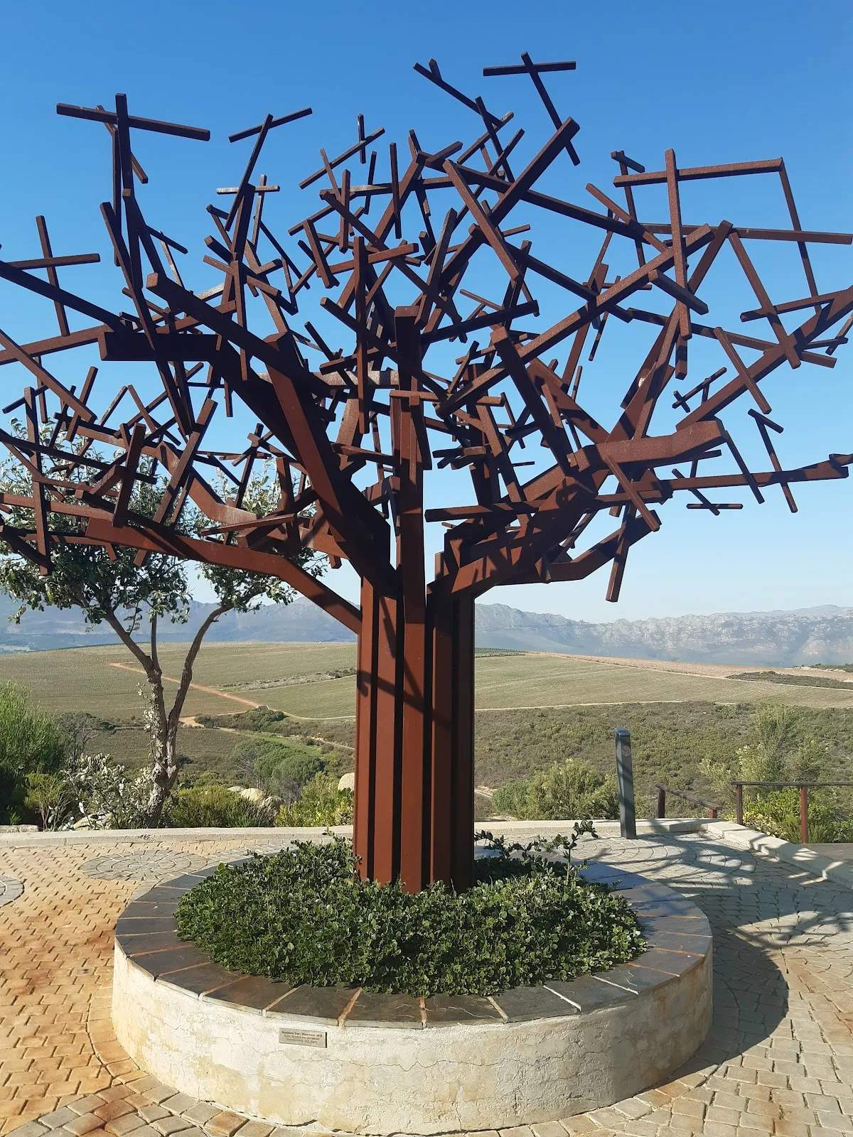 Waterkloof Wine Estate — photo 3