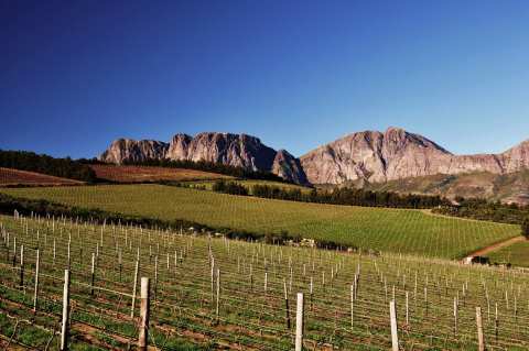 Waterkloof Wine Estate — photo 5