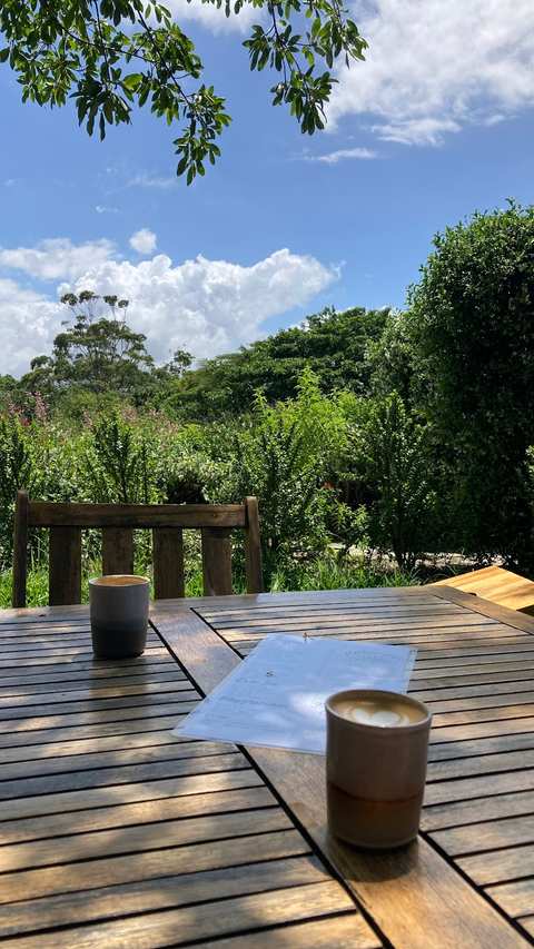 Mellow Nello Coffee - Salt Rock — photo 4