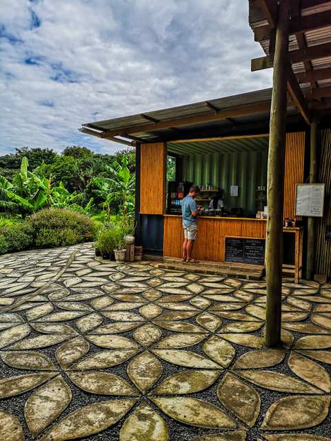 Mellow Nello Coffee - Salt Rock — photo 5