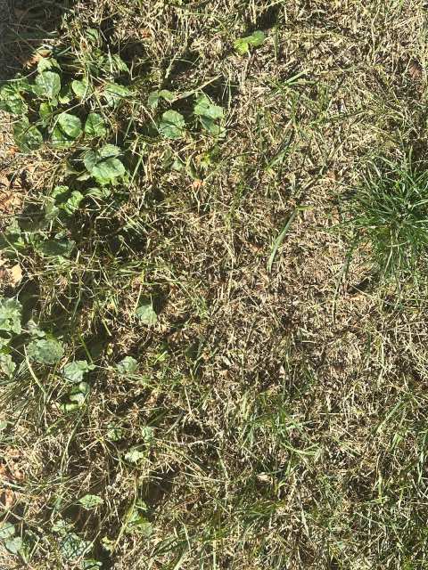 Naturescape Lawn and Landscape Care — photo 3