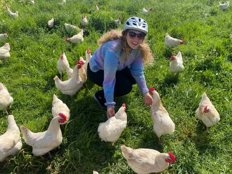 Segway Vineyard Tours at Spier Wine Farm — photo 3