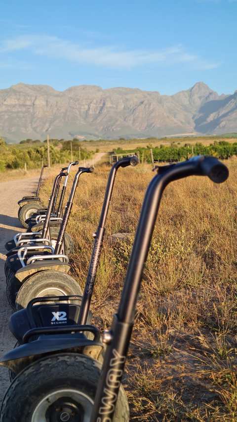 Segway Vineyard Tours at Spier Wine Farm — photo 5