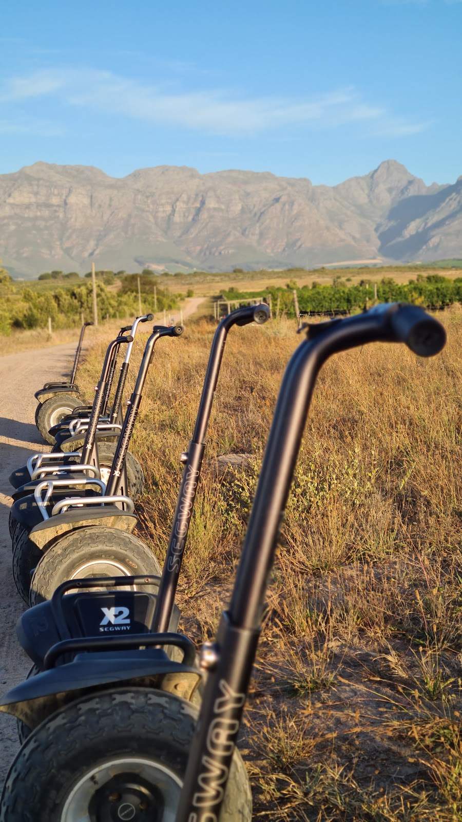 Segway Vineyard Tours at Spier Wine Farm — photo 5