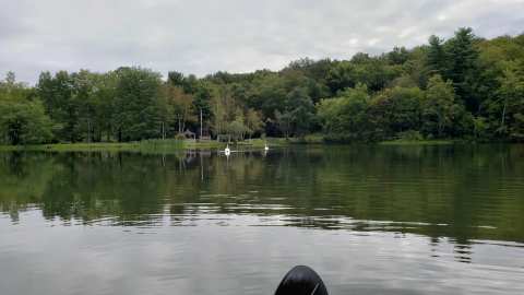 Woodlake — photo 2