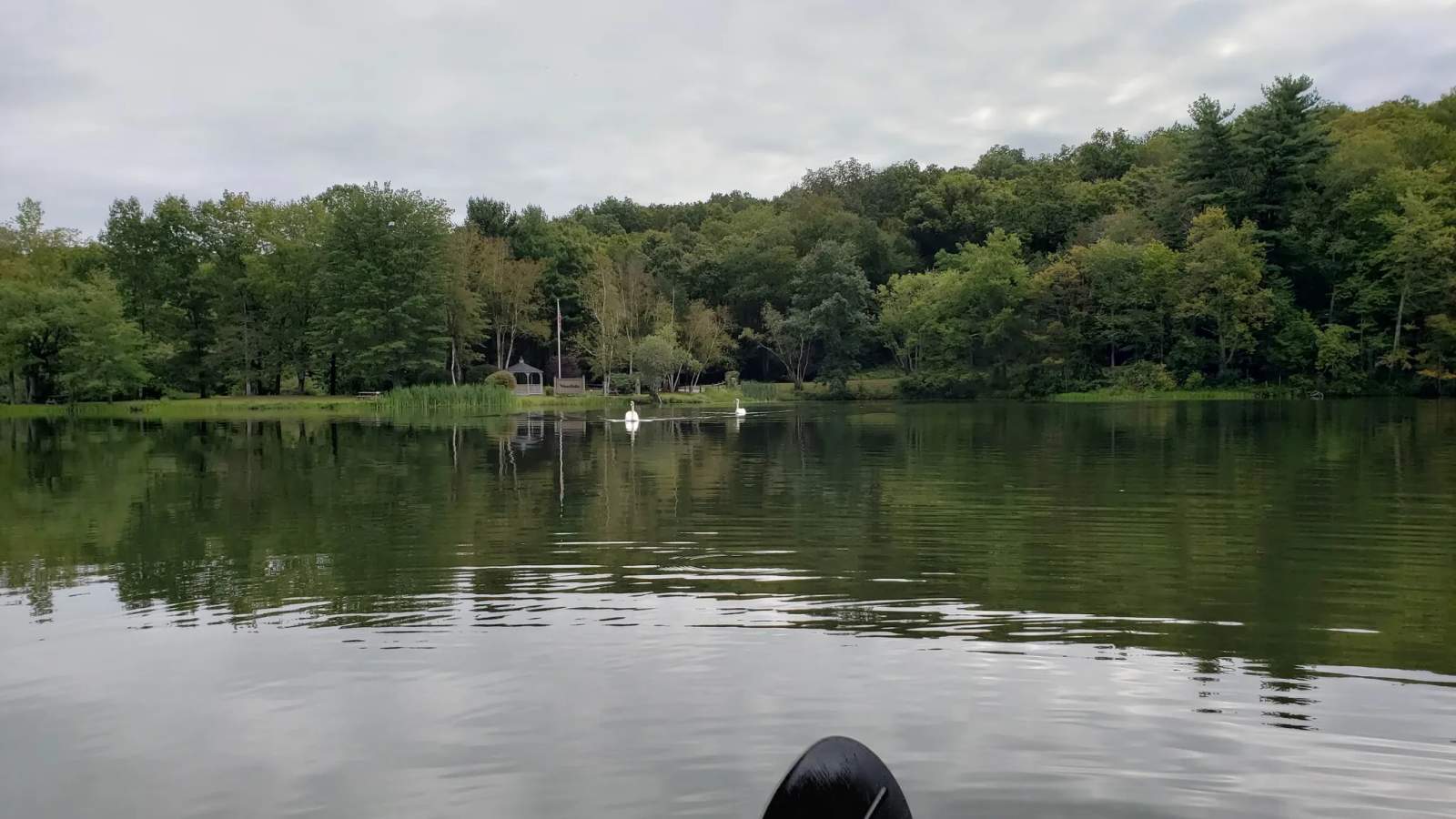 Woodlake — photo 2