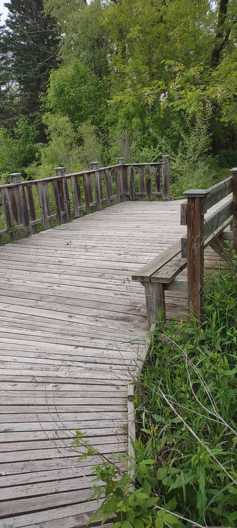 Blue Heron Wild Life Sanctuary — photo 3