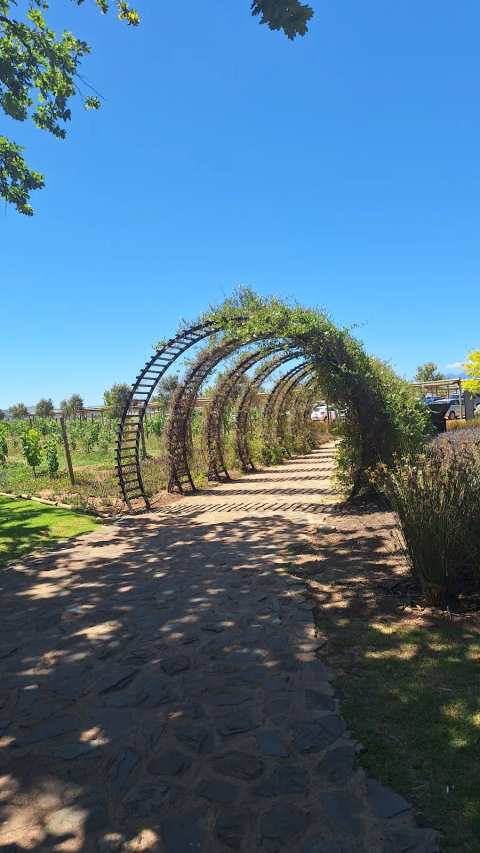 Vergenoegd Löw Homestead Tasting Room — photo 3