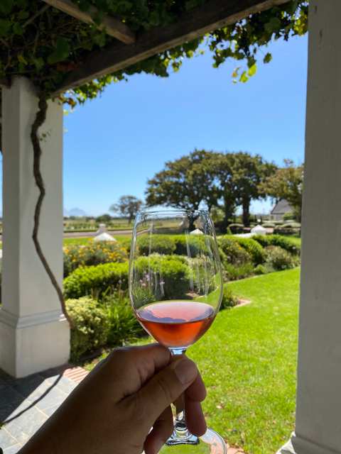 Vergenoegd Löw Homestead Tasting Room — photo 5