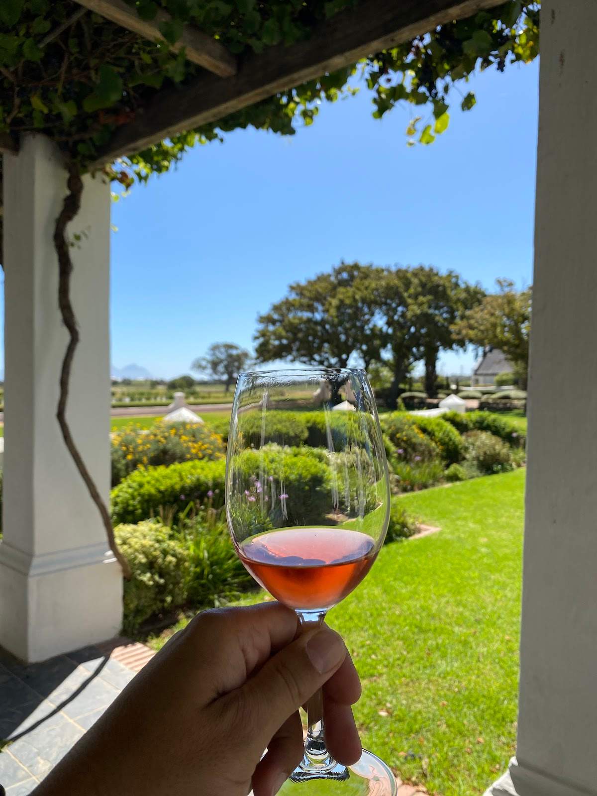 Vergenoegd Löw Homestead Tasting Room — photo 5